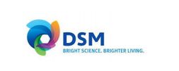 DSM logo