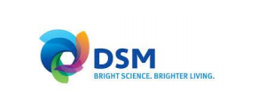 DSM logo